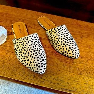 Pierre Dumas Flats ❤️